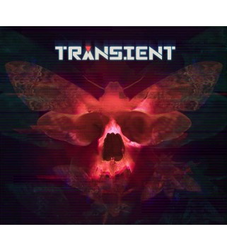 Transient Steam Key GLOBAL